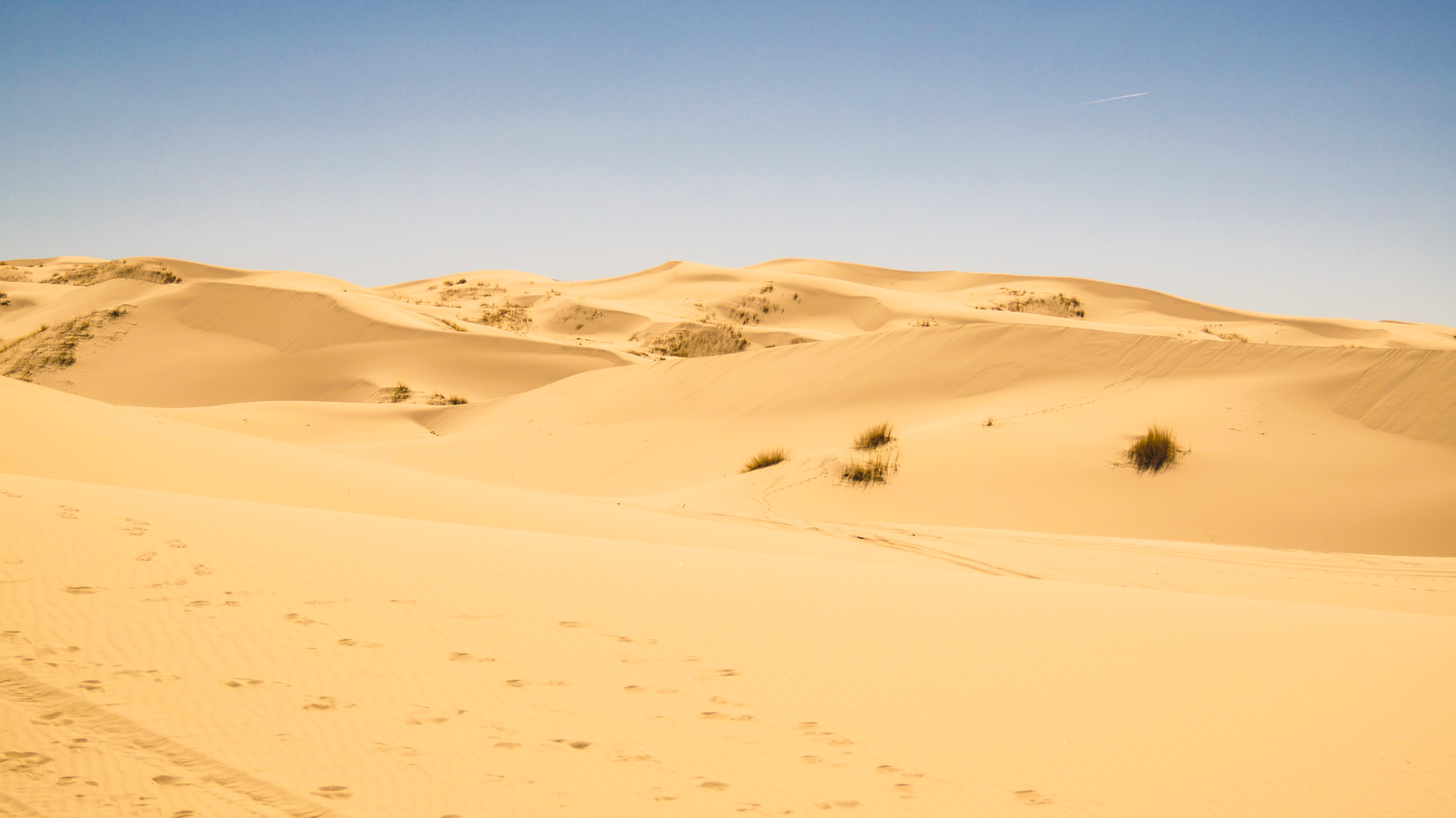 Dunas Magicas Samalayuka 2026 — foto 2
